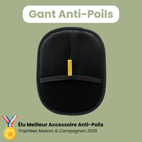 BellyFree™– Gant Anti-Poils Réutilisable & Écologique
