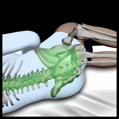 Sollievo immediato per schiena e fianchi durante
